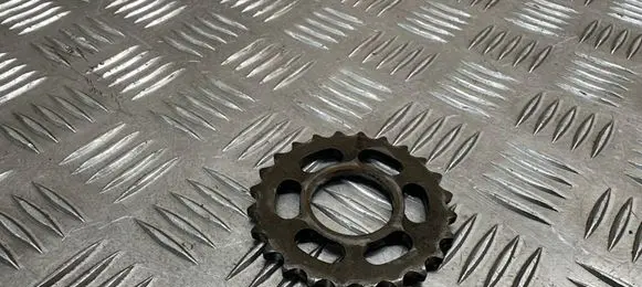Audi A8 S8 D5 Timing chain sprocket 059103333F