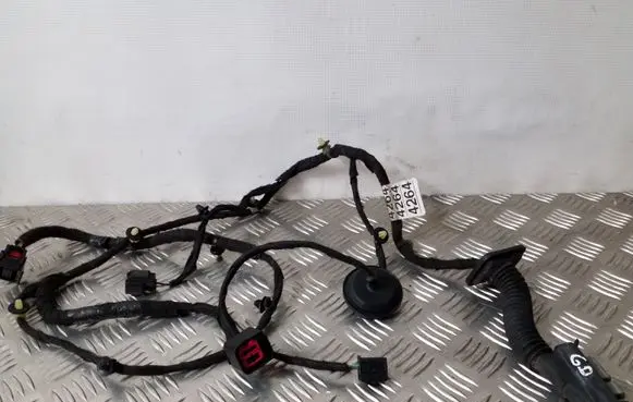 Rear door wiring loom
