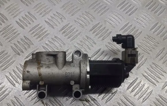 Opel Zafira B EGR valve 50024005