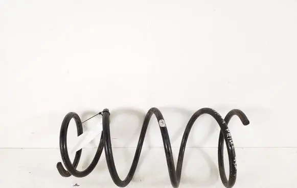 Front coil spring