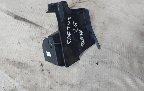 Citroen C4 Cactus Other interior part 9801304380