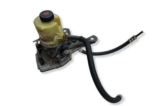 Renault Trafic III (X82) Power steering pump 491100616R