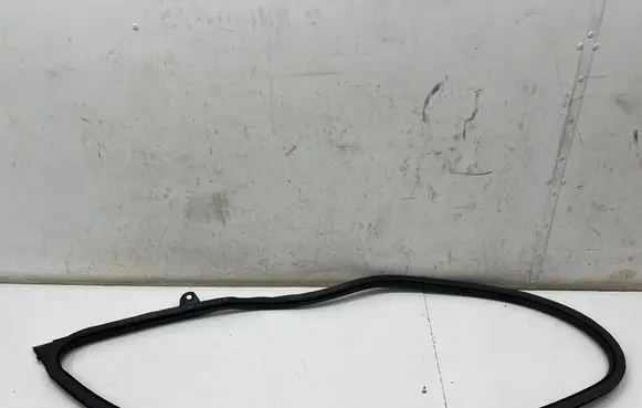 Porsche Taycan 9J1 Front door rubber seal 