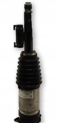 Tesla Model S Rear shock absorber/damper 1066461-00-C