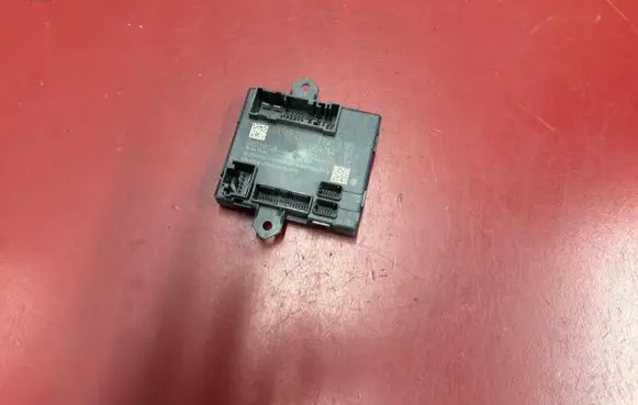 BMW X1 U11 Door control unit/module 5B547A4 61355B547A4