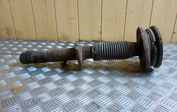Peugeot 406 Front shock absorber/damper