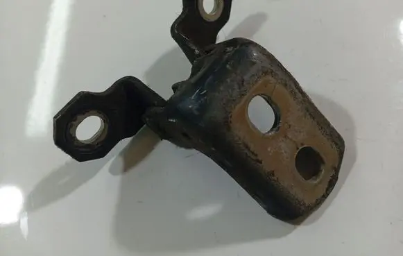 Rear door lower hinge