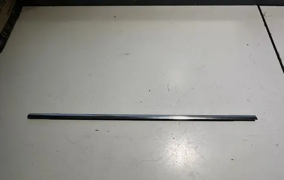 Rear door glass trim molding