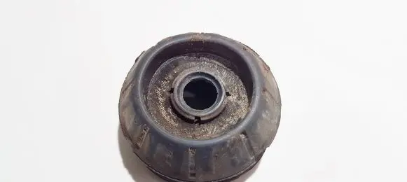 Coil spring mount