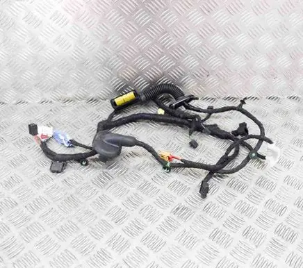 Volkswagen ID.3 Front door wiring loom 2039504302