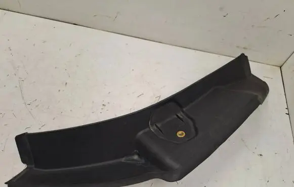 Rear/tail light trim molding