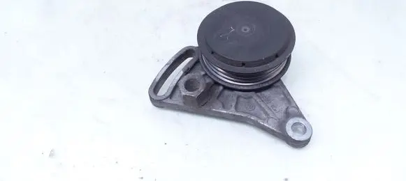 Volkswagen PASSAT B5.5 Air conditioning tensioner 058260511