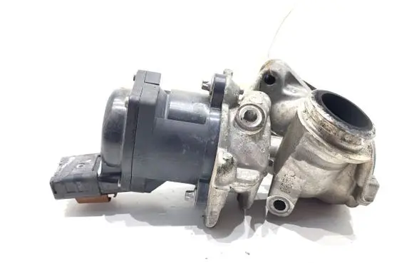 EGR valve