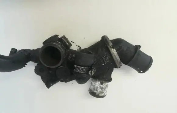 Fiat Bravo - Brava Engine coolant pipe/hose 46432896