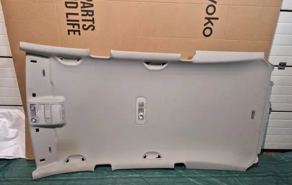 Volkswagen PASSAT B7 Headlining 3AF867501E