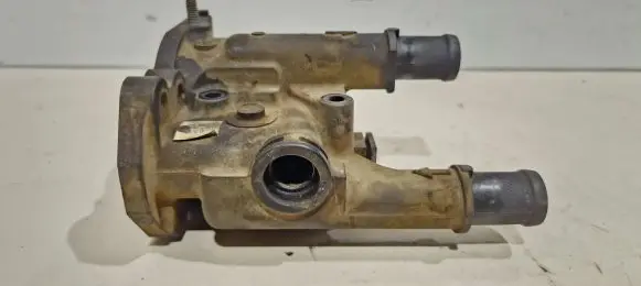 Thermostat/thermostat housing