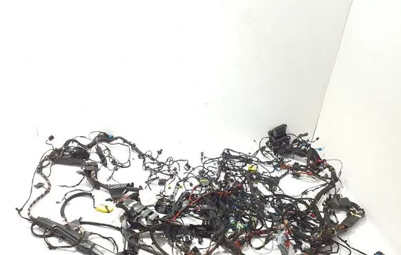 BMW 5 G30 G31 G38 Wiring harness 2459089