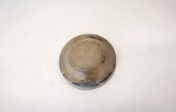 Opel Vectra B Headlight/headlamp dust cover