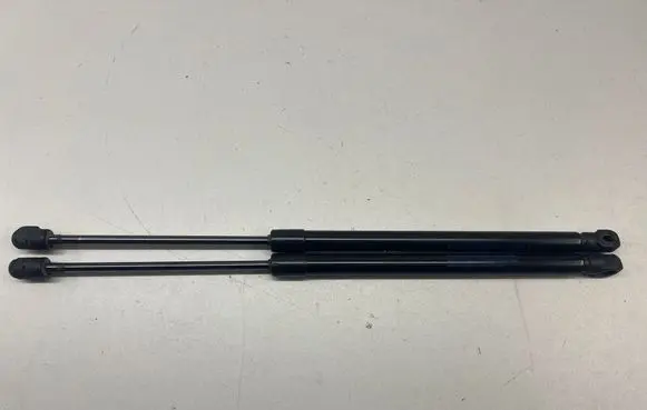 Tailgate/trunk strut/damper