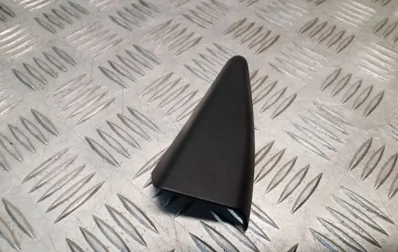 Other rear door trim element