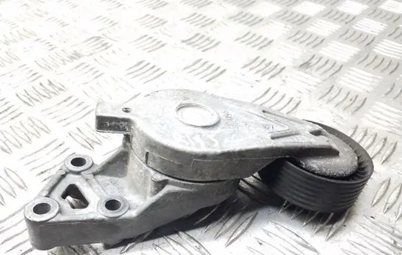Seat Leon (1M) Alternator belt tensioner 03722010001