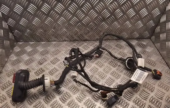 Peugeot 308 Front door wiring loom 9807916280