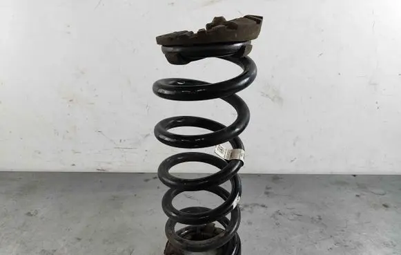Land Rover Discovery Sport Rear coil spring LR078662 LR061469