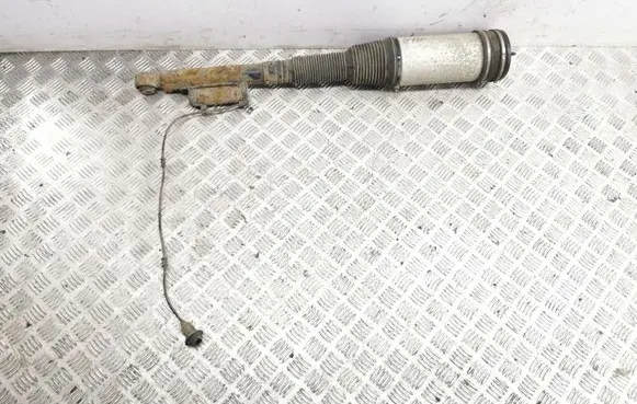 Mercedes-Benz S W220 Rear shock absorber/damper C086054O5