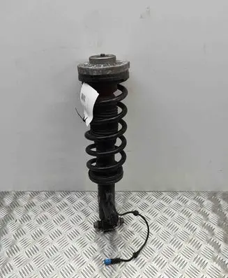 BMW X4 F26 Rear shock absorber/damper 6872327