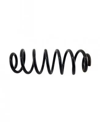Volkswagen PASSAT B6 Rear coil spring
