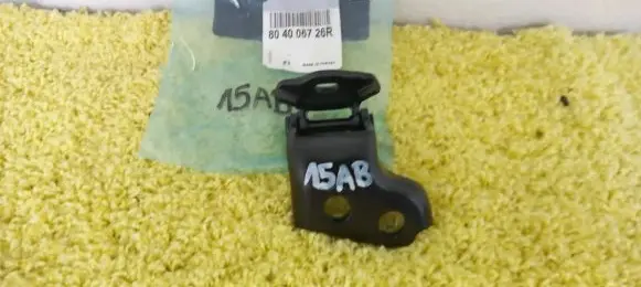 Renault Clio V Front door lower hinge 804006726R