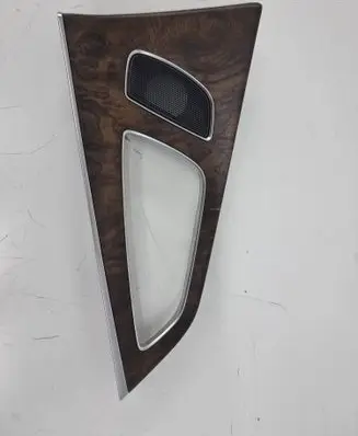 Other rear door trim element