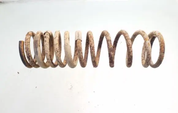 Ford Focus Rear coil spring