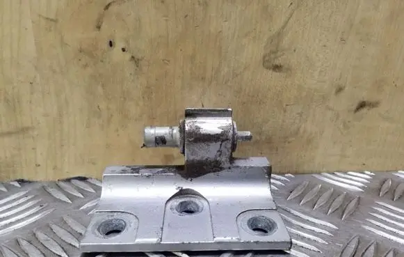 Volkswagen Crafter Front door lower hinge 