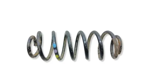 Volkswagen PASSAT B7 Rear coil spring 