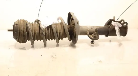 Fiat Tipo Front shock absorber with coil spring 824903014638