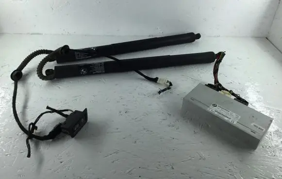 BMW X5 F15 Loading door hinge set 7388490