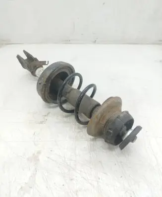 Renault Twingo II Front shock absorber/damper 824902005479 314739 30K92A
