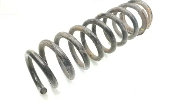 Rear coil spring