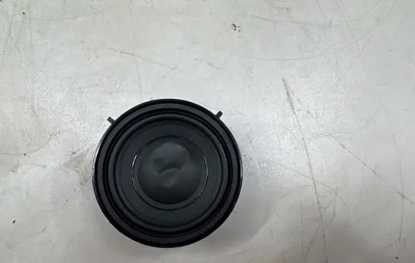 BMW X1 F48 F49 Panel speaker 9151127 66921CN 18820010