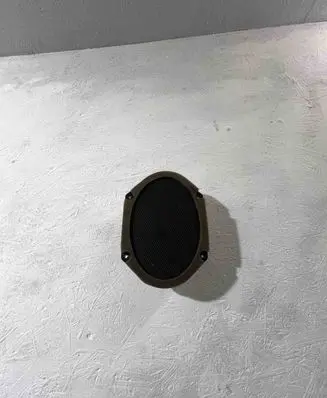 Jaguar S-Type Subwoofer speaker XW7F18808