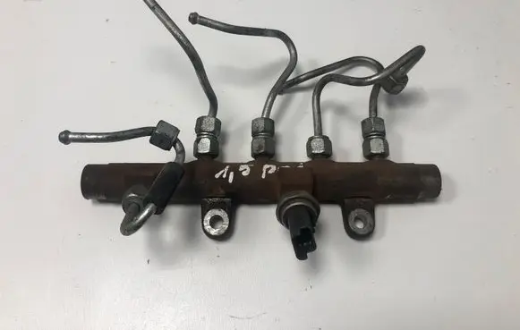 Nissan Qashqai Fuel distributor 5WS40154