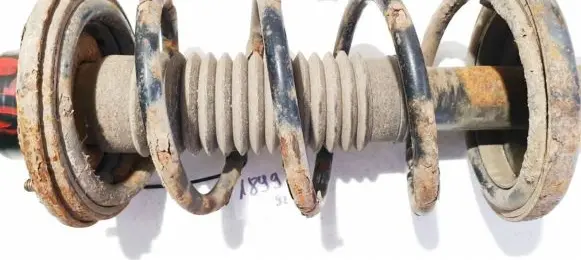 Suzuki Liana Rear coil spring