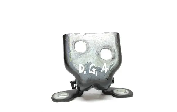 Dacia Sandero Rear door lower hinge 26r