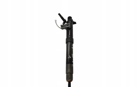 Citroen C5 Fuel injector 9686191080