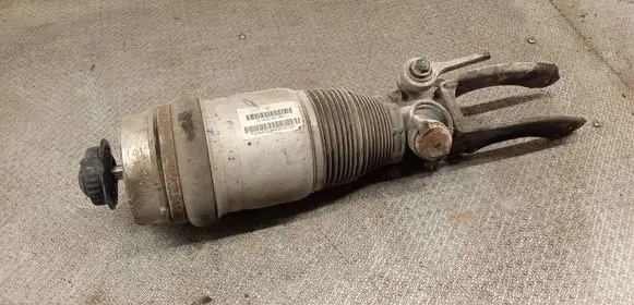 Porsche Cayenne (9PA) Air suspension front shock absorber 7L5412021BG