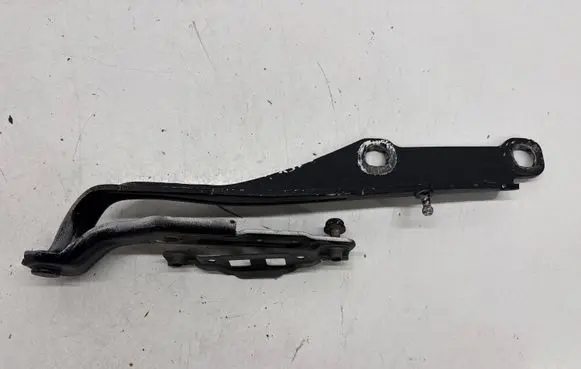 Dodge Charger Engine bonnet/hood hinges 55113551AF