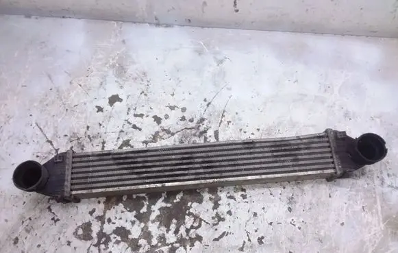 Mercedes-Benz A W169 Intercooler radiator A1695000000