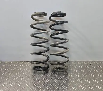 Volkswagen PASSAT B6 Rear coil spring