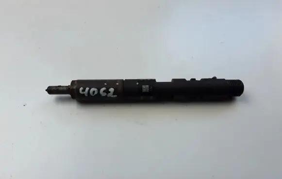 Renault Kangoo II Fuel injector 8200827965